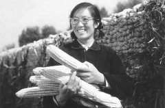 特别的姑娘(报告文学)