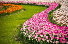 中央重磅定调:促进共同富裕!