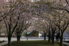 不吐不快 | 面对这样的价值观,只想“呵呵”两声