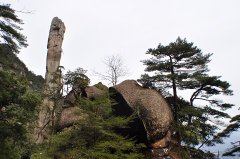 25ջƱ۸ˮԪƱʵ֡˵߾ߡ