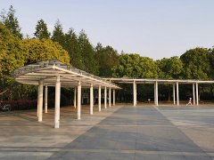 嗓子疼、牙疼、肚子疼竟都与心有关