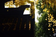 发改委7天连发14文遏制“煤超疯”