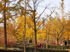 16ʡݳָǷн2022괺ǰȫ