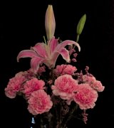 °ҽҩƷĿ¼¯74ҩƷ