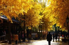 Ů길ĸͬסдļǱ̨ʲô?