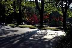 ҹԼ1.9Բ ۺҽԺҽѧ