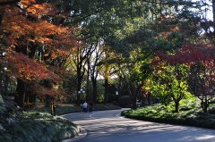 ¹ؽ͹ʣ20221Щб仯