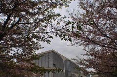 个性化服务花样“上新”,走俏如何不走偏?