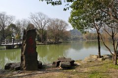 ÿ1000ԪպϷʽ귢šʺ