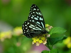 阿姨爷叔的手机江湖