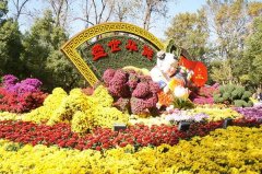 <滕冰驾雪 展翅飞翔> 2022年冬奥会在北京开赛感赋