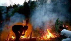 良冈山上打山火