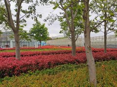 Ʋѡͦ࣬վѿʼ조˹ݡս