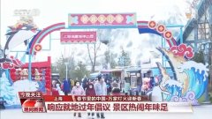 国风游园、传统文化体验……年味儿瞬间拉满!