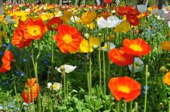 ǰҩƷƽ۰ٷ֮ʮ  ҽҩ