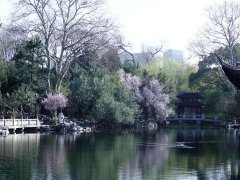 上海“最洋气”公园年中打开围墙