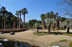 һʱ10Ŀѧ˾ѧŷʧŵȴӮר