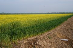 照护3岁以下婴幼儿抵扣个税,如何申请?谁能享受?