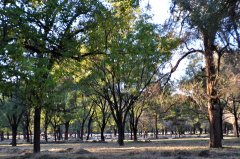 ¹طӡӡǮӣһ¹4ʵʩ