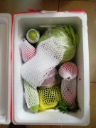 9个人与50吨蔬菜