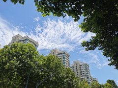 “一人一方案”,全力救治每位患者