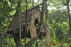 Զ˹ʵʩԴ˵µ¹ʧҵ