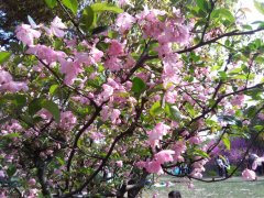 郭利民抗疫诗歌四首