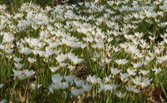 ζػ衢轾յػ衢֪صػ裬к