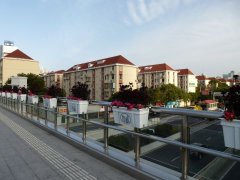 上海虎年抗疫亲历(五)