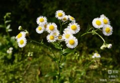 ɫ԰ůڣͬЭæӰƷѡ