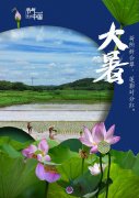节气里的中国丨大暑:荷花入暮犹愁热
