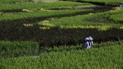 ޻۸ߵ ڷװЬñ½֡ѡ