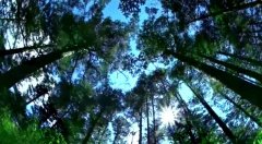 全球知名经济学家联名呼吁:美国政府还钱!