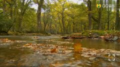 -2022ϰʽʼ йɳ2000˲μ