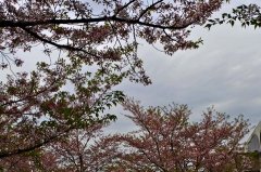 日营收近6000万引争议 医院要直面信任危机