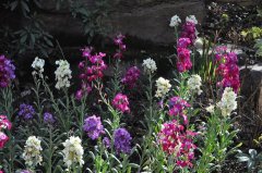 秋分时节:谨防过敏性鼻炎 推荐这些预防小妙招