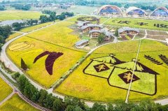 ϲᾰ緼㡪йũսڸɨ