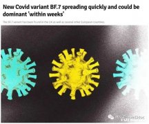 ע⣡ѷְֱܿ춾BF.7