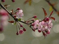  ⿪Ľᣨֱͨ챨棨ϣ