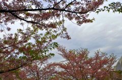 Щ쳣ϣֱͨ-챨棨£