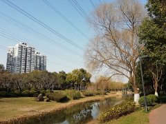 “四管齐下”保安全