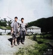 别梦依稀回故乡