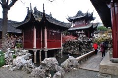 豫园国潮涌,园林正青春