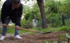 李亚鹏种菜被叫停,自家院子不等于“自留地”| 新京报快评