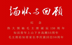 感动、收获及感慨 ——参加缅怀与回顾座谈会随记