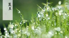 夏至田园景多娇