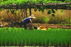 ﵥ 徭 ǵũֱ׶˵ĸԴ