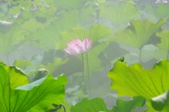 𴲺󣬵һ²ű㣬ҲǺˮ֪