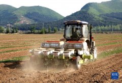 韩国媒体:中国是全球粮食安全的关键稳定器