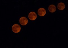 七颗大豆种下科研梦想